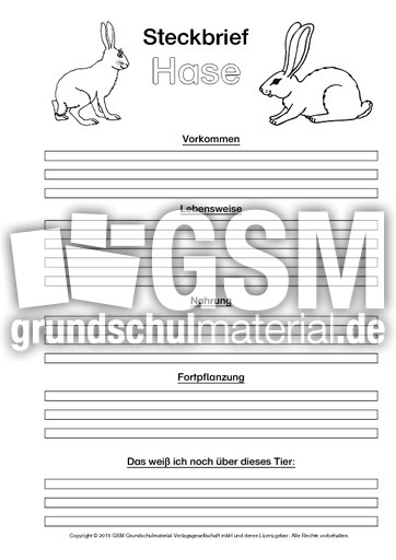 Hase-Steckbriefvorlage-sw.pdf